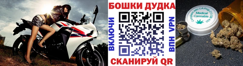 Бошки Шишки семена  МЕГА ссылка  Норильск 